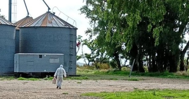 Imagen de la noticia