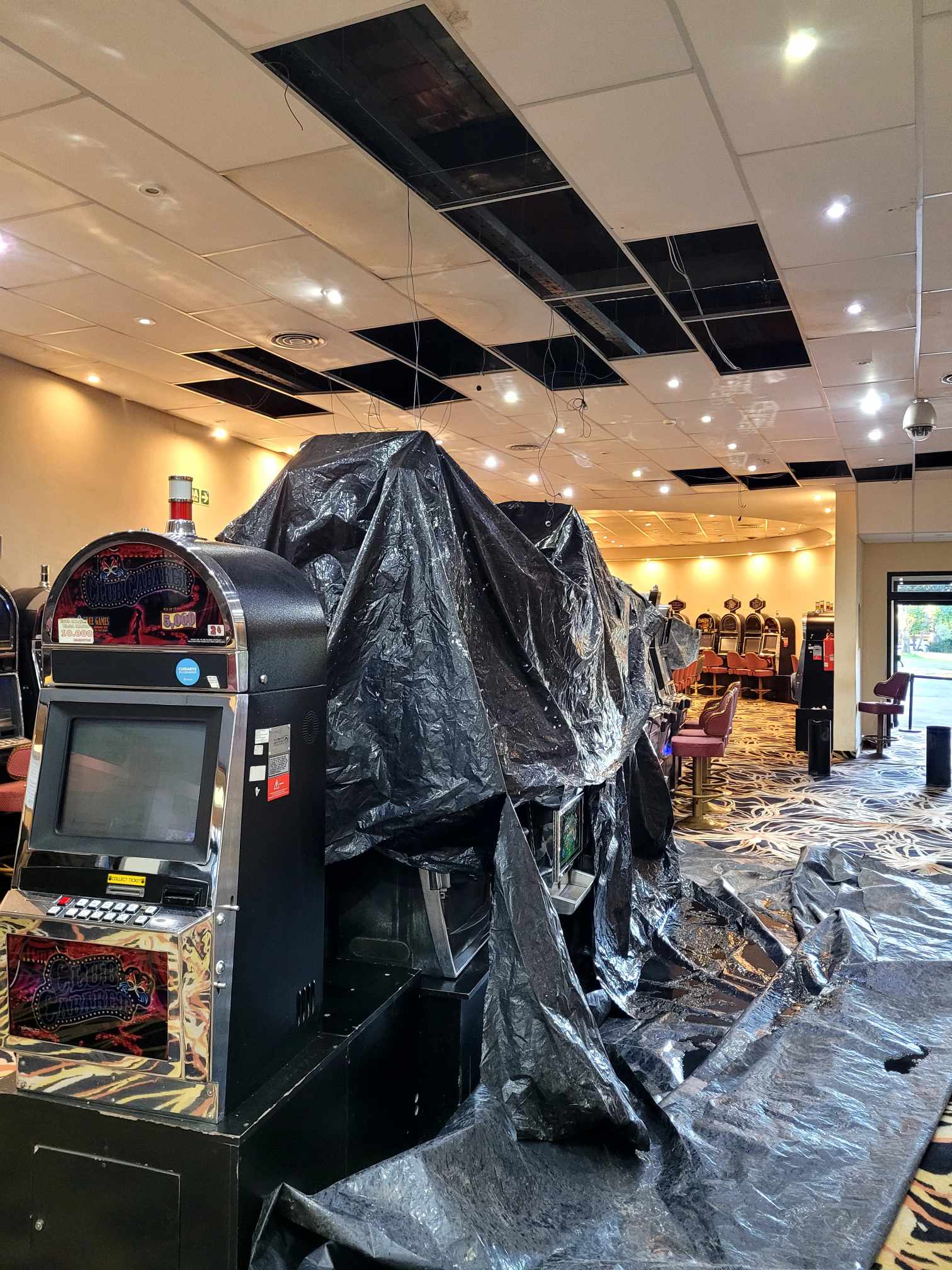 Imagen de la noticia